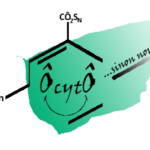 logolovert_association_ocyto