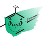 Bandeau Ôcytô, sinon nous