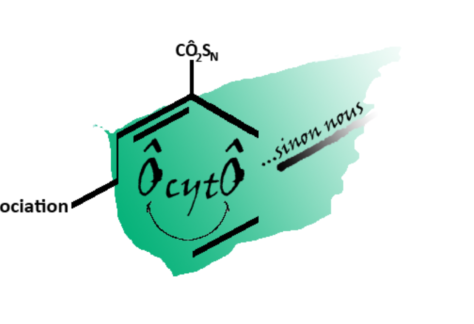 Bandeau Ôcytô, sinon nous